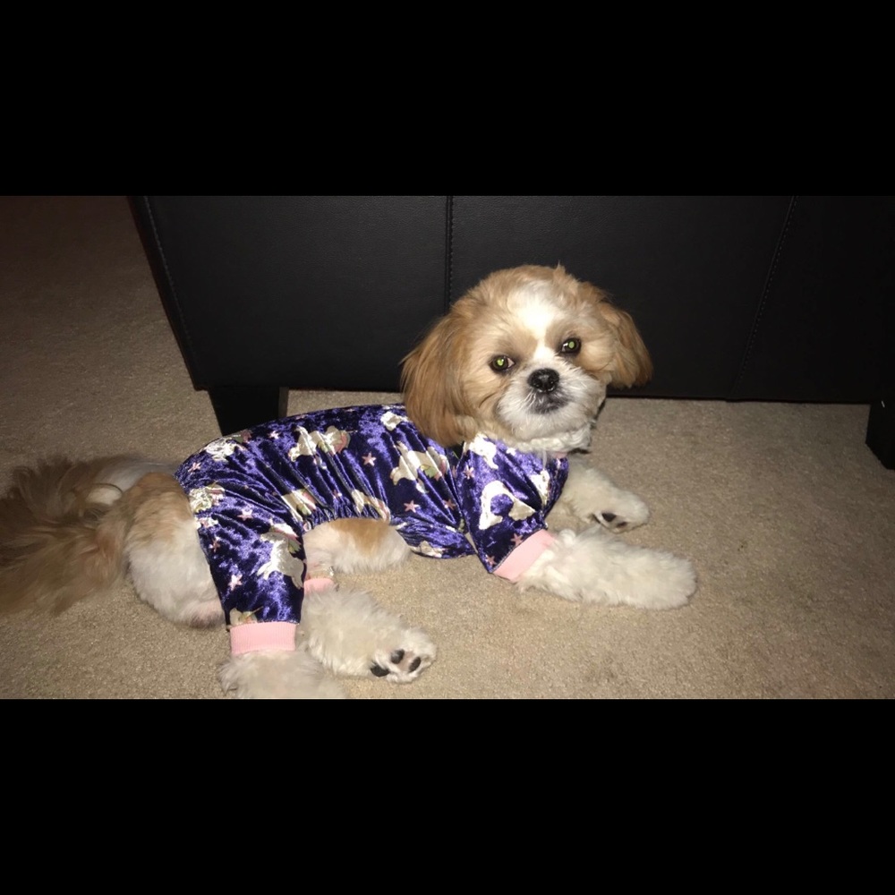 Pet Pajamas🦄